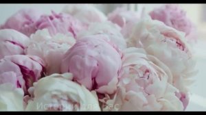 Он вышел из детдома и вернулся в старую халупу, доставшуюся от бабушки. Но стран