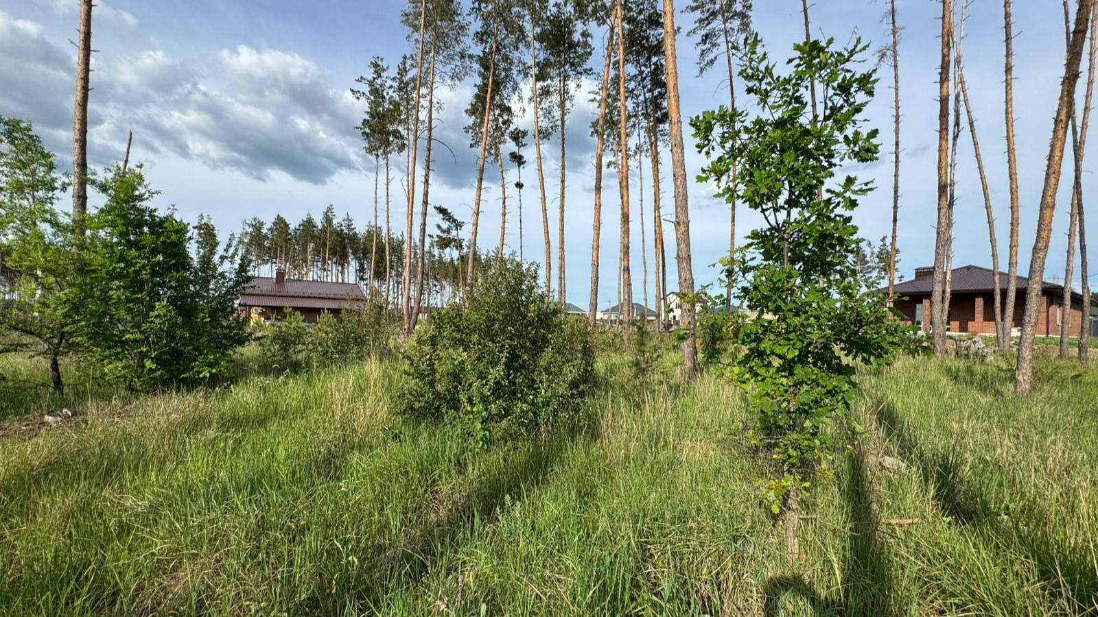 WhatsApp Video 2025-05-27 at 19.47.54 смотреть онлайн