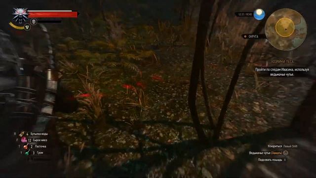 Вышел я кучу сделать... #6 (Witcher 3 wild hunt) смотреть онлайн