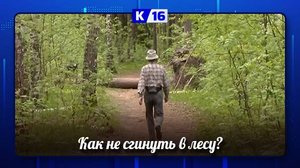 Как не потеряться в лесу?