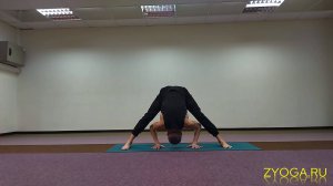 Приветствие Солнцу с Падоттанасаной (вариац. 101) / Surya Namaskara with Padottanasana (variat. 101)