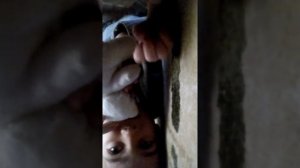 Арсений&Евангелина блогеры)))(2)