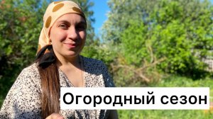 Наводим порядки во дворе 🗑️ / Сажаем помидоры 🍅