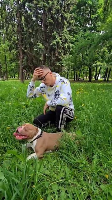 Никогда не забывайте матерей - Дмитрий Нестеров / сл А.Лобазова, муз Д.Нестеров #дмитрийнестеров
