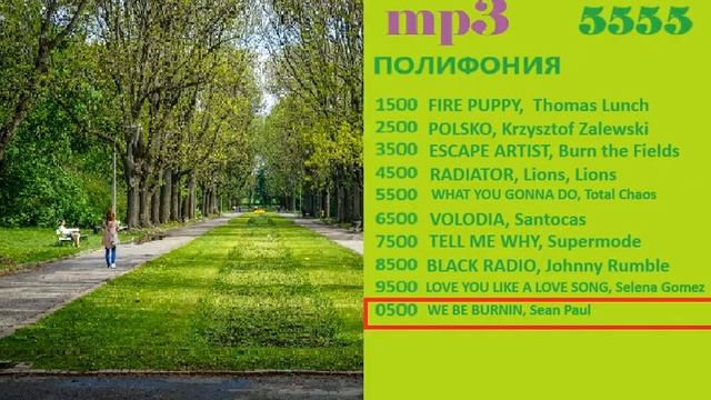 Реклама на RUSONG TV 2013 (17/30) смотреть онлайн