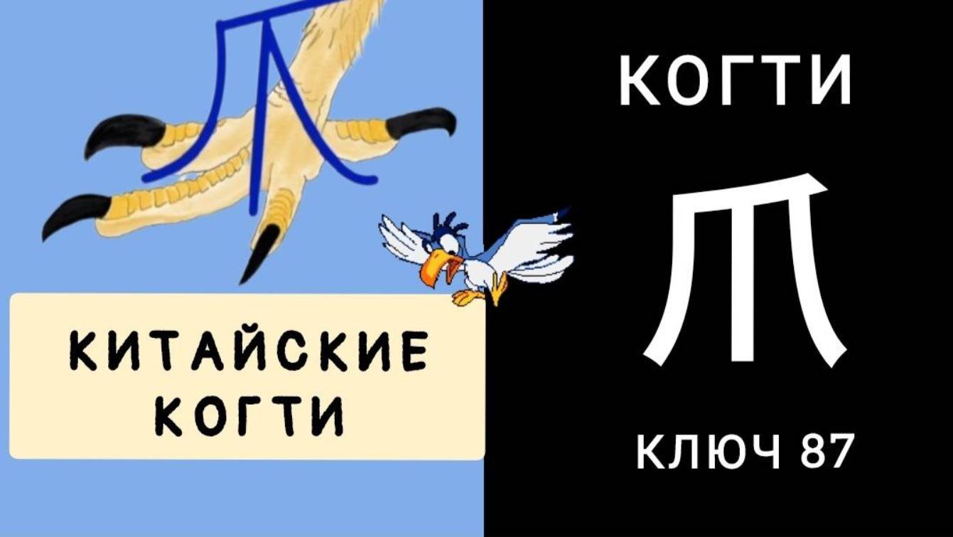 КИТАЙСКИЕ КОГТИ. КЛЮЧ 87. 爪 zhǎo, zhuǎ КОГТИ. МНЕМОНИКА КИТАЙСКИЙ ЯЗЫК.