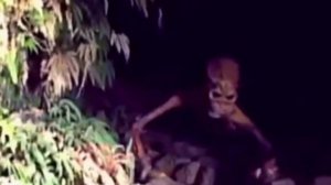 8 Реальных Инопланетян Снятых На камеру.(Пришельцы из космоса и инопланетные существа)