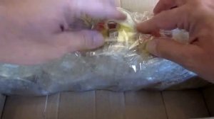 Сливки сгущенные с сахаром. Рогачев.