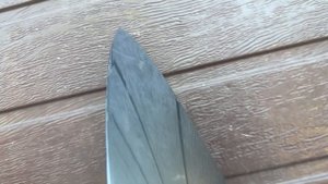 Крыло левое рестайлинг 13-15г Шкода Суперб 2 3T0821021A