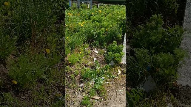 VID_20250521_132859