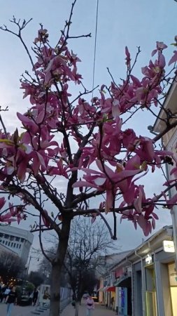 Ну теперь точно весна в Крыму