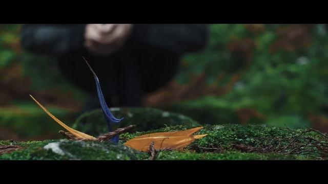 Голодные игры на выживание начались | Триллер | Приклю? смотреть онлайн