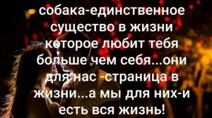 знакомьтесь моя лучшая подруга!!!