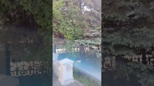 Обзор достопримечательностей г. Казань. 25. 05.2025 года. 1 часть.