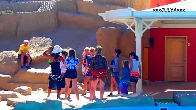 ALF LEILA WA LEILA - 1001 NIGHTS - АЛЬФ ЛЕЙЛА ВА ЛЕЙЛА - 1001 НОЧЬ смотреть онлайн