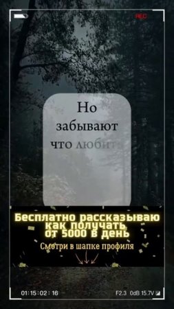 Полюби сначала себя — полюбит и мир.