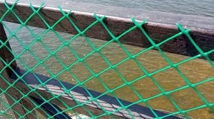 Озеро "Байкал". Вид берега с маяка.