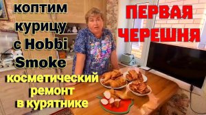 Восстанавливаю усадьбу. Певая черевишня. Коптим курицу и мясо с Hobbi Smoke.