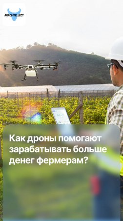 Как дроны помогают фермерам зарабатывать больше денег?