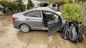 ДОМОЙ В ГЕЛЕНДЖИК ИЗ АБХАЗИИ. МНЕ МЕСТА НЕ ОСТАЛОСЬ В МАШИНЕ  БУДЕМ ОПЯТЬ САЖАТЬ ДЕРЕВЬЯ