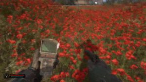 STALKER 2 Архиартефакт, Малая зона "Странный Цветок" Патч 1.