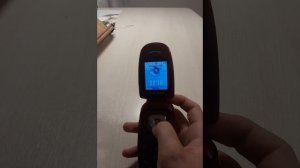 Краткий обзор телефона Samsung SGH-X481.