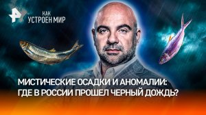 Дождь из живой рыбы: проделки шаманов или “проклятие” небес? / “Как устроен мир”