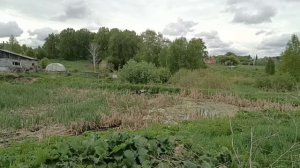 Окрестности Плотниково, Кузбасс