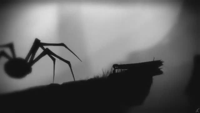 LIMBO