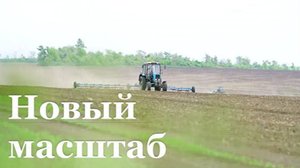 Более 700 га в Станично-Луганском районе засеют подсолнухом