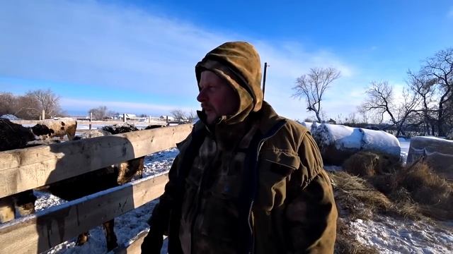 Один день в деревне. Как мы спасали быка. Как мы переве? смотреть онлайн