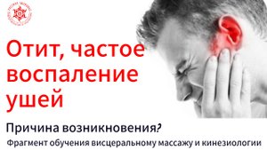 Отит, частое воспаление ушей. Причина возникновения? Фрагмент обучения