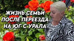 908 Жизнь после переезда на юг России/Какие дома продают на Кубани