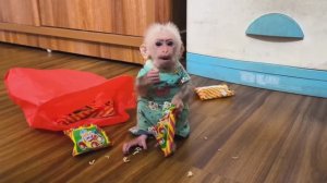 Обезьянка крошка БУКАШКА нашла пакет мамин Кушает Рассыпала на пол МИЛАШКА