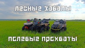 Лесные завалы, полевые прохваты