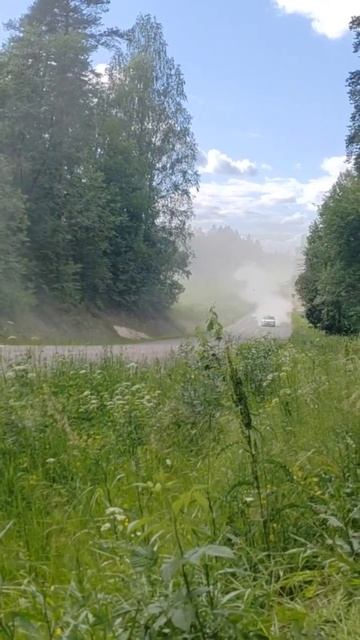 Ралли Белые Ночи 2024 #rally #wrc смотреть онлайн