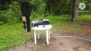 Двух киловаттные сабвуферы 10" и акустика в лесу. Профе?