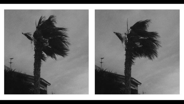 Самодельный объектив из старой мыльницы. Подборка фот смотреть онлайн