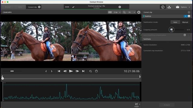 Стабилизация видео в Catalyst Browse против Davinci resolve