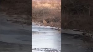 Даже посидеть спокойно не дадут…
