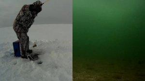 Дольше ехал, чем рыбачил.