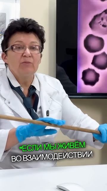 Взаимодействие микрофлоры и иммунитета для поддержания здоровья