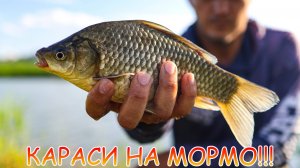 МОРМЫШИНГ ловит мордатых КАРАСЕЙ 💪 Рабочие приманки для МОРМО 👍👍👍 НОВЫЙ спиннинг гнут в ДУГУ 😊