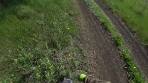 Металлокоп по новым местам. Разведка удалась, нашёл ПЕРСПЕКТИВНЫЕ места.