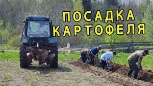 Посадка картошки под плуг на тракторе МТЗ-82. Реальные испытания и оперативный ремонт!