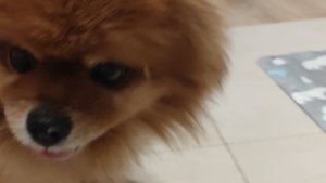 Агрессивный Айко под фонк!!!!!!!!!