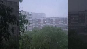 Зима внезапно вернулась в Россию — Новосибирск и ещё несколько городов завалило снегом