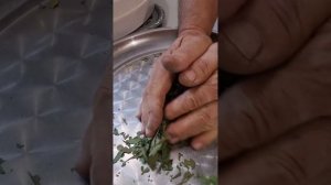 Всё нормально/Молотый лавровый лист/@SvetlanaAleksandrovna61