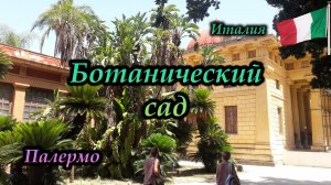Палермо. Ботанический сад (Orto Botanico)