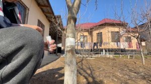 СЕКРЕТ для МУРАВЬЁВ действует на 100%